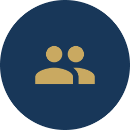 icon solution